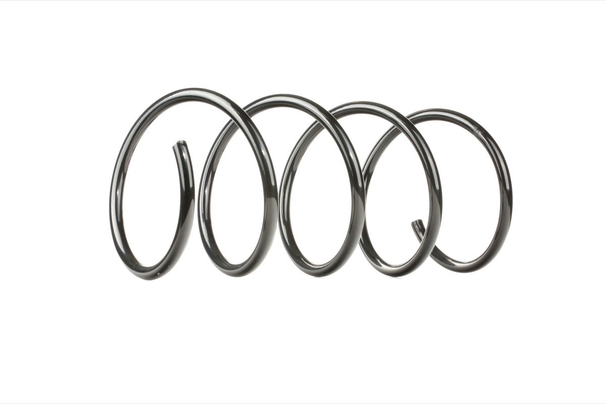 Ridex 188C0371 Coil Spring