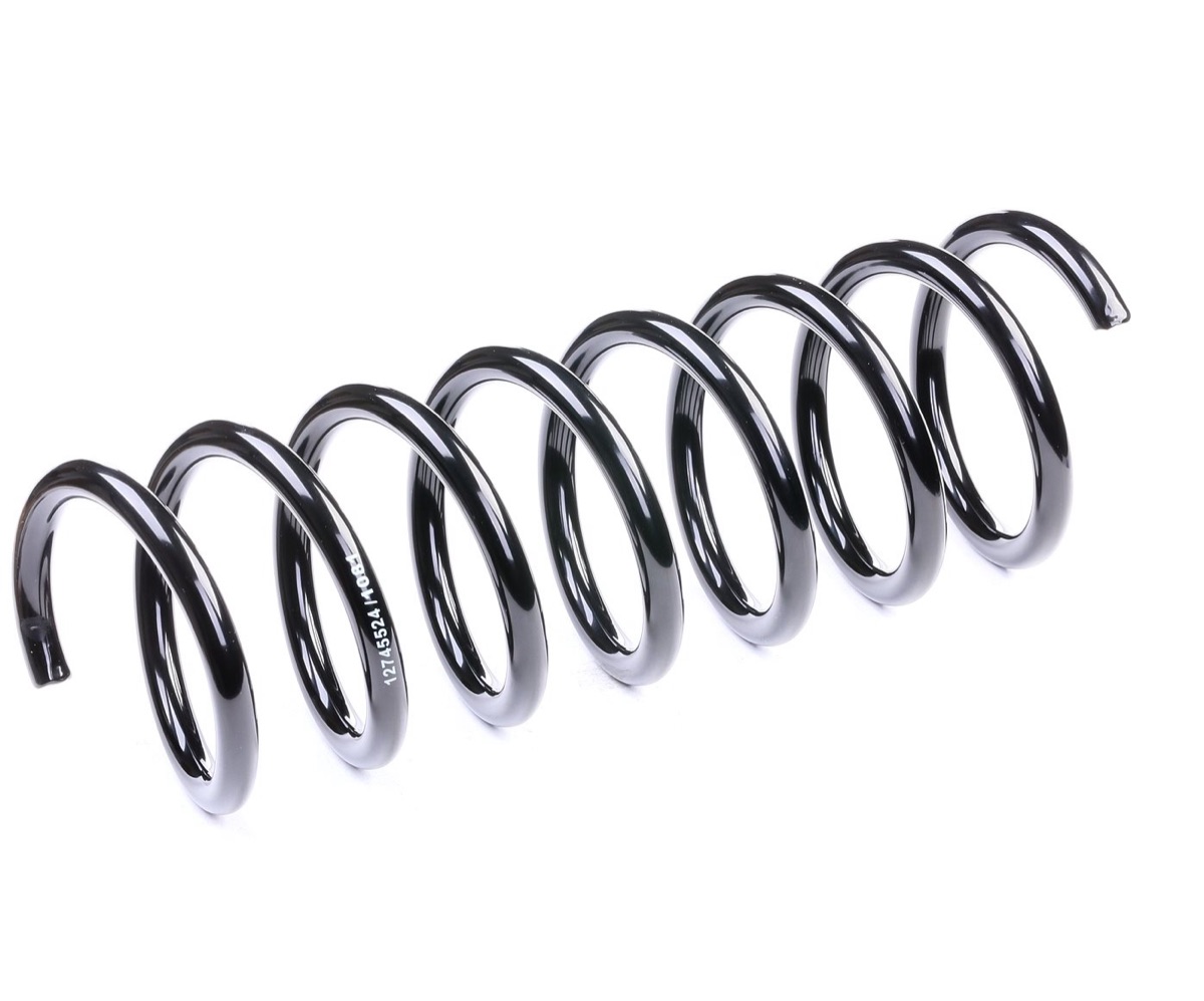 Ridex 188C0379 Coil Spring