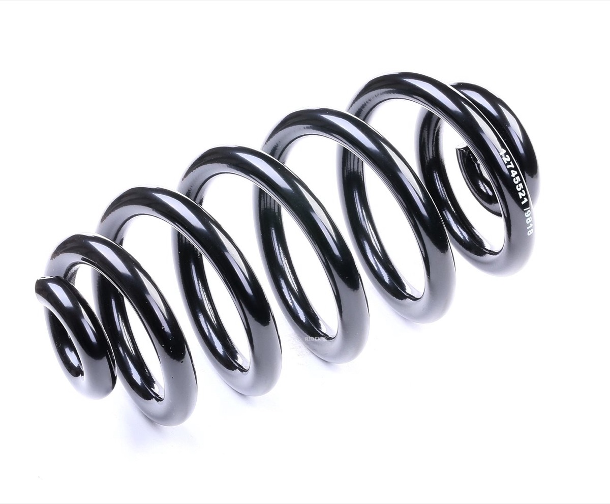 Ridex 188C0386 Coil Spring