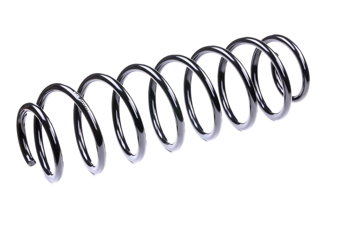 Ridex 188C0387 Coil Spring