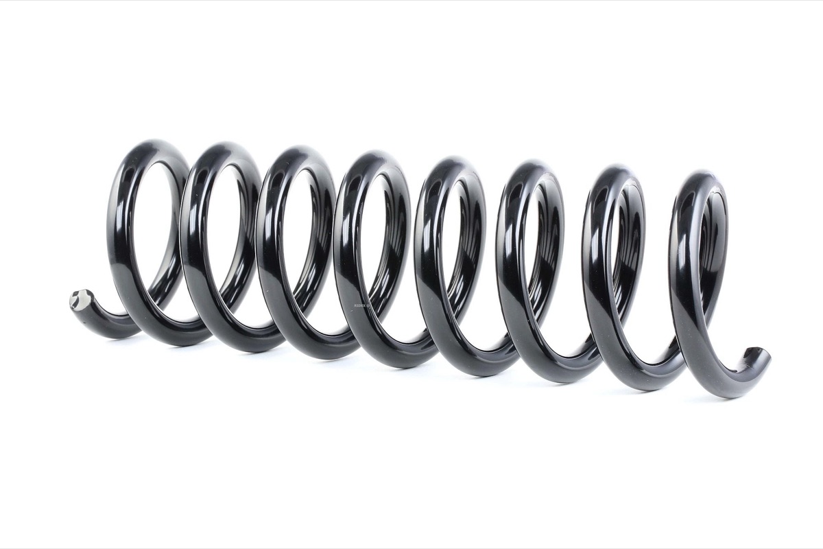 Ridex 188C0441 Coil Spring