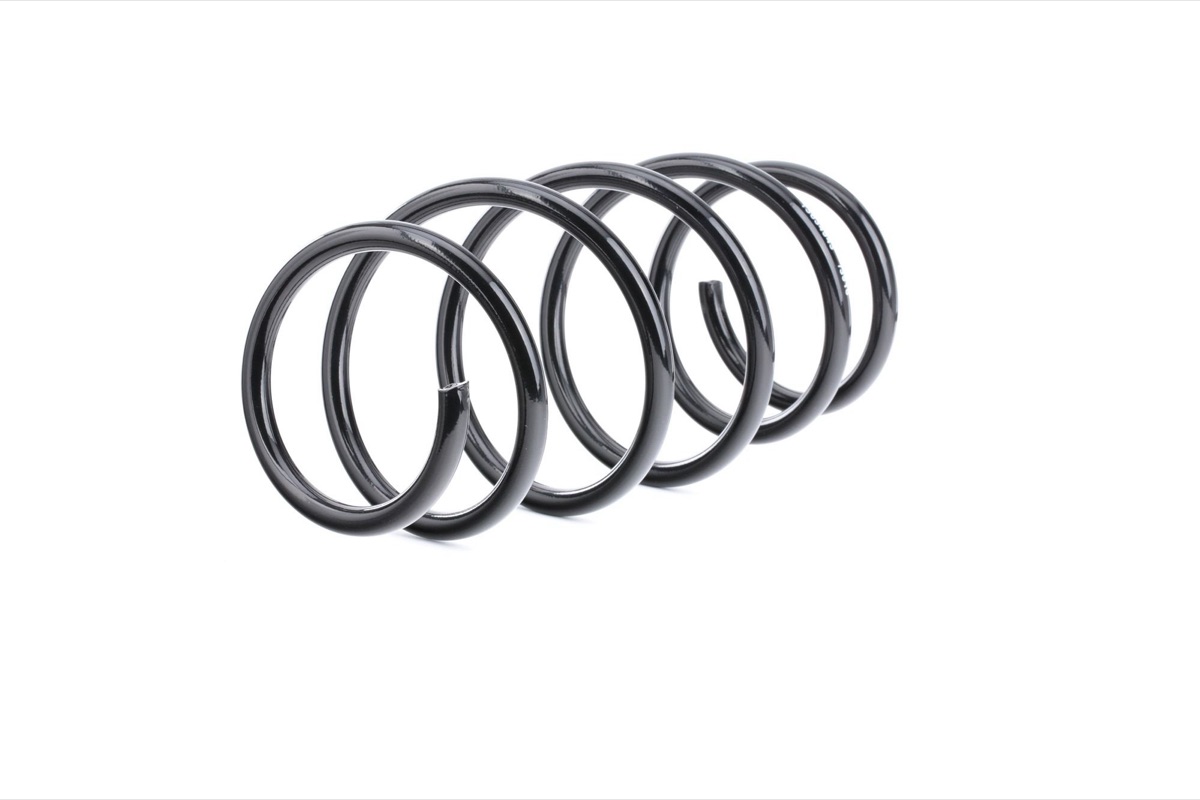 Ridex 188C0460 Coil Spring