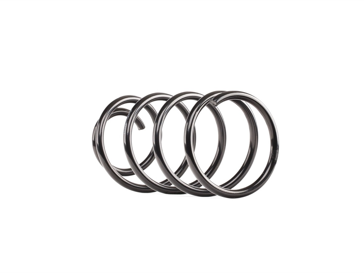 Ridex 188C0607 Coil Spring