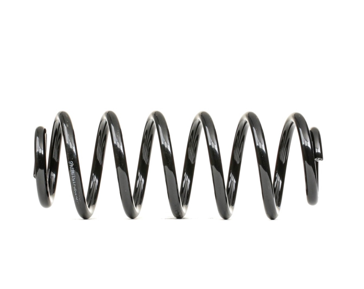 Ridex 188C0873 Coil Spring