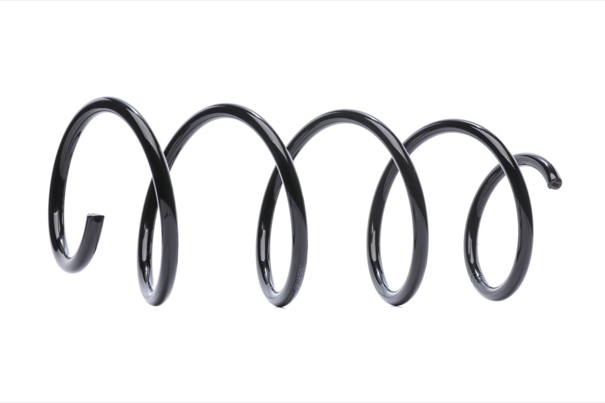 Ridex 188C0982 Coil Spring