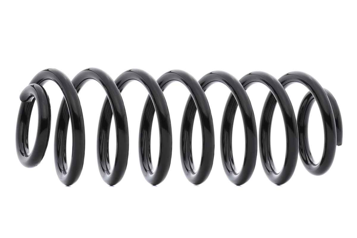 Ridex 188C0983 Coil Spring