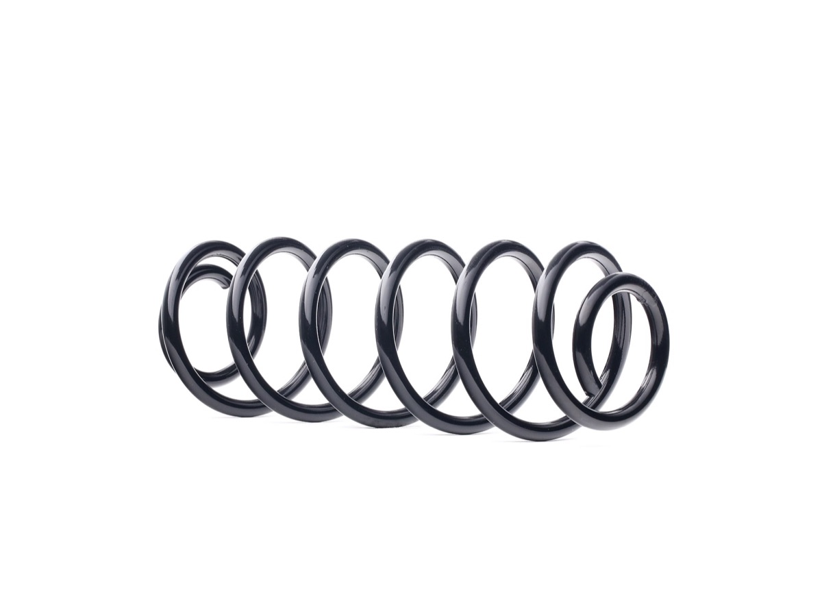 Ridex 188C1354 Coil Spring