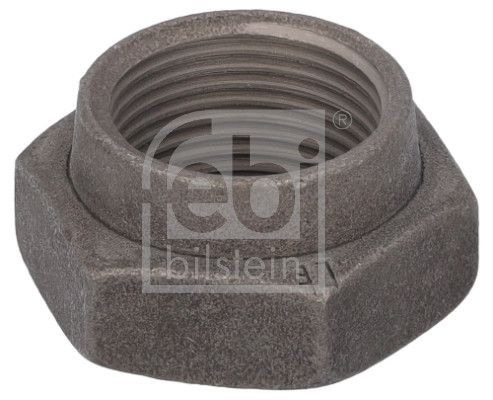 Febi Bilstein 19159 Nut, Stub Axle