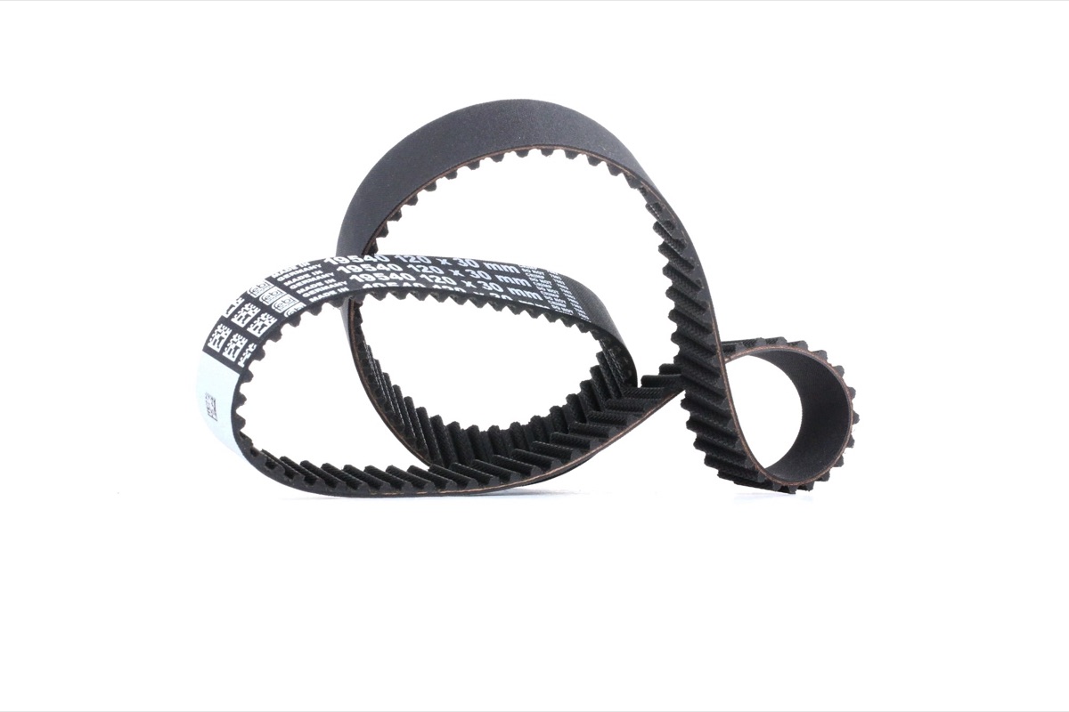 Febi Bilstein 19540 Timing Belt