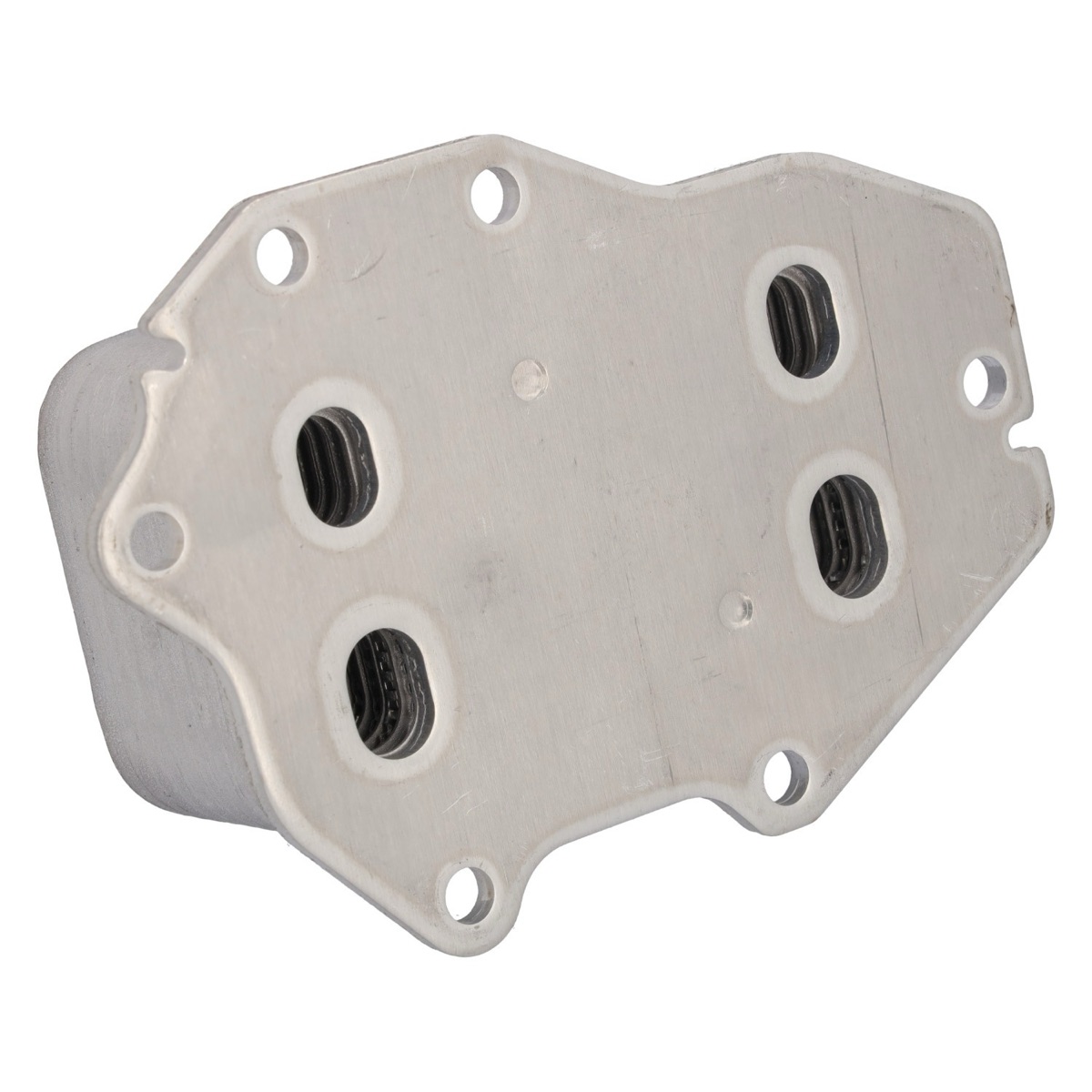Febi Bilstein 195996 Engine Oil Cooler