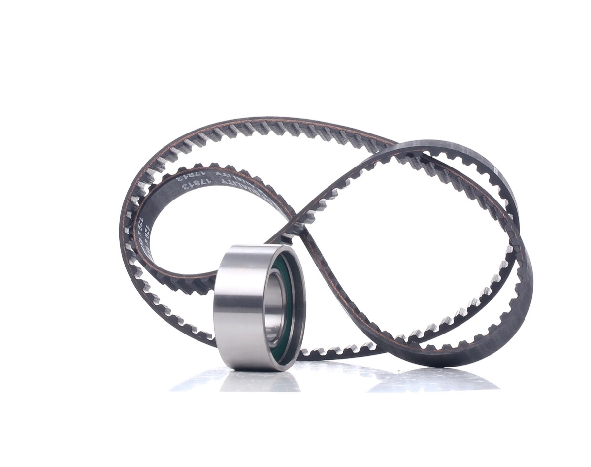Febi Bilstein 19658 Timing Belt Kit