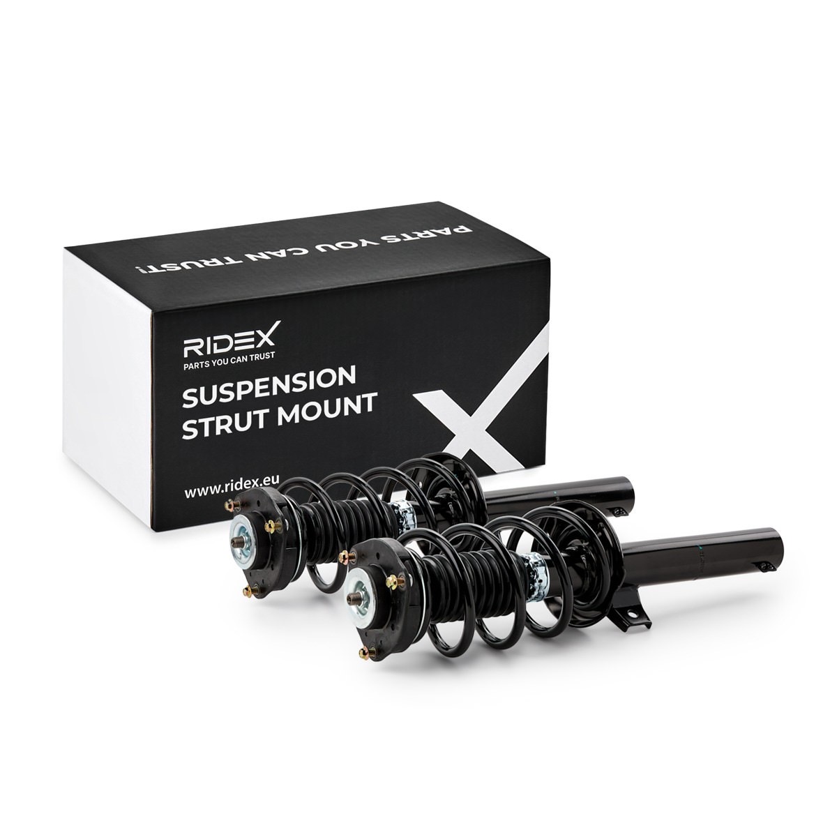 Ridex 198S0080 Suspension Strut