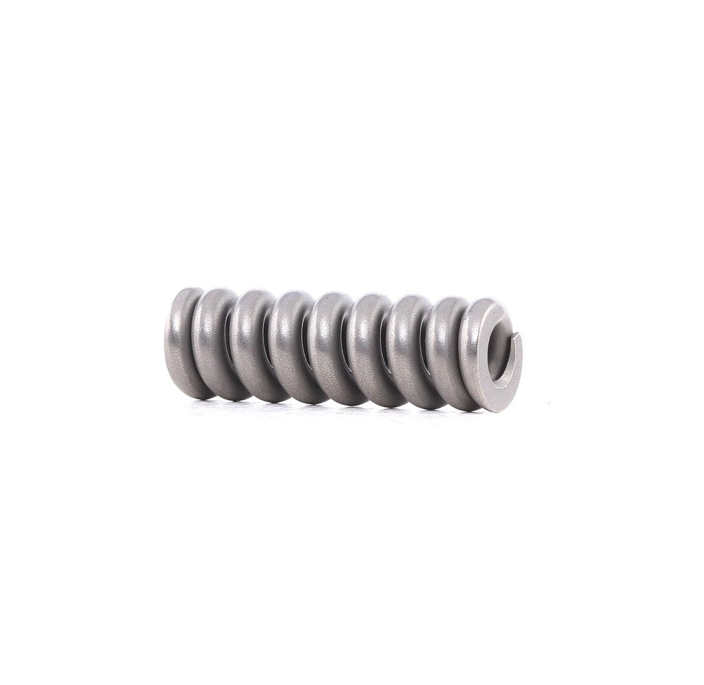 Bosch 2 434 619 073 Spring