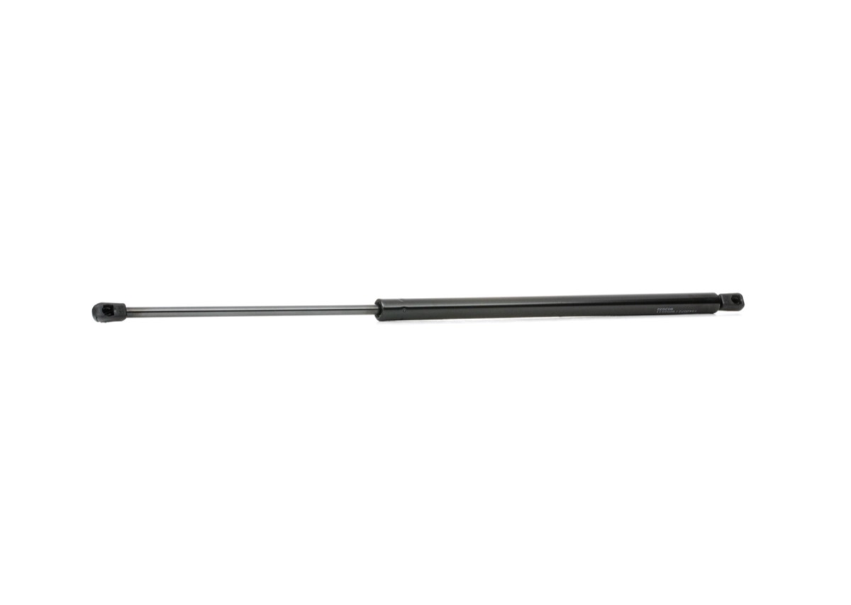 Ridex 219G0113 Tailgate Strut