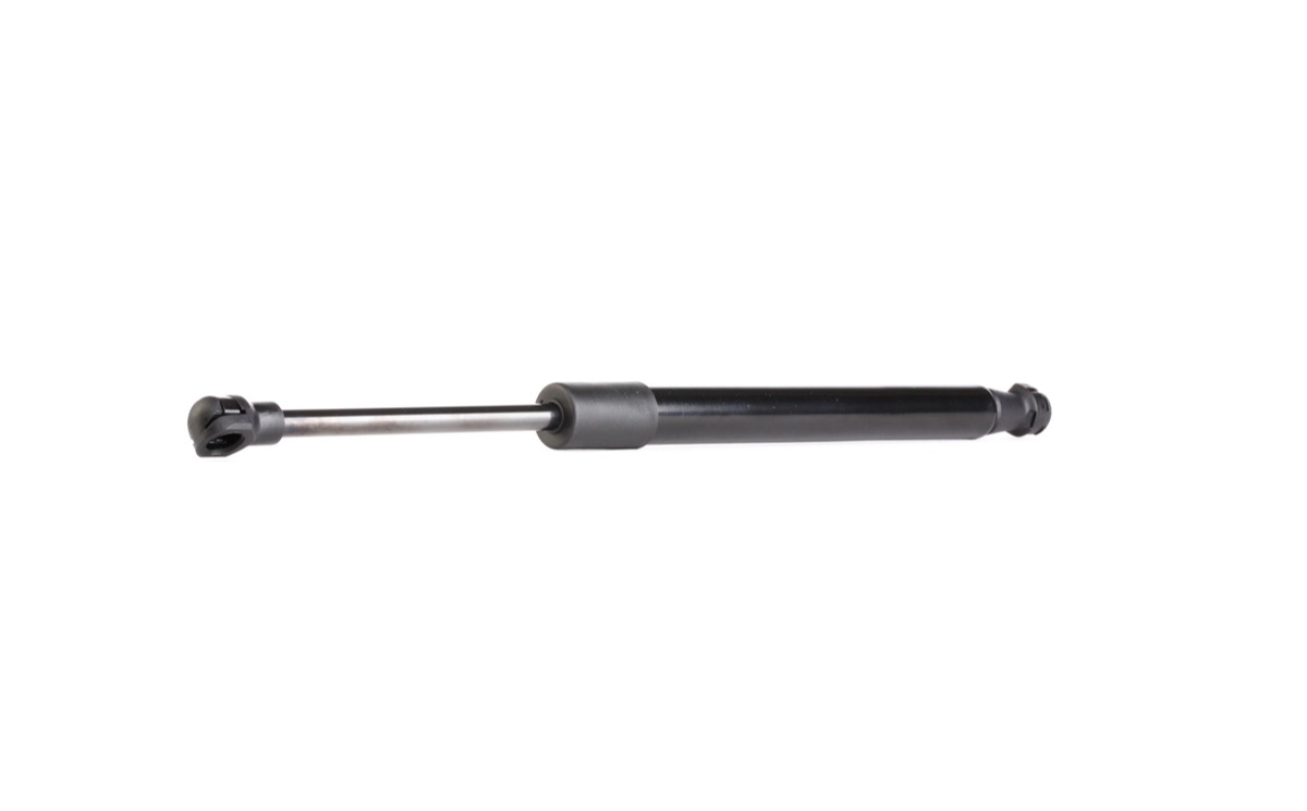 Ridex 219G0296 Tailgate Strut