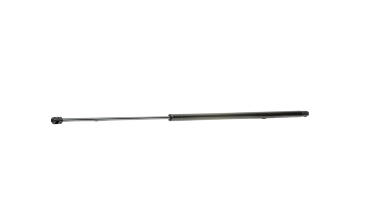 Ridex 219G0353 Tailgate Strut