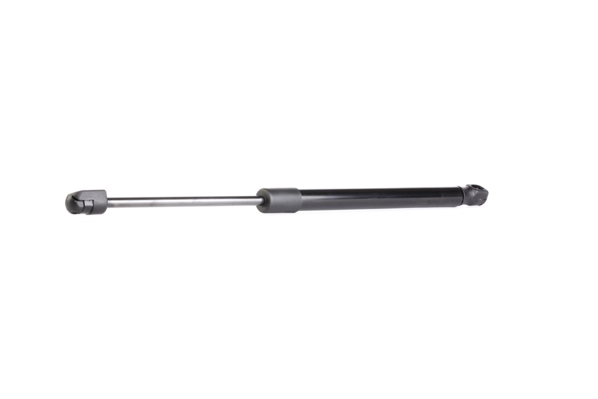 Ridex 219G0419 Tailgate Strut