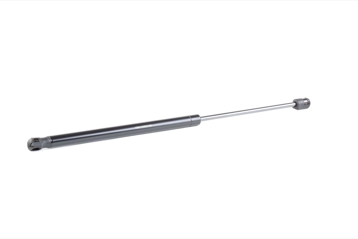 Ridex 219G0662 Tailgate Strut