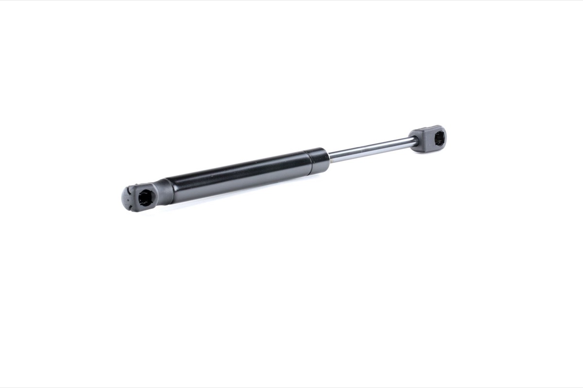 Ridex 219G0678 Tailgate Strut