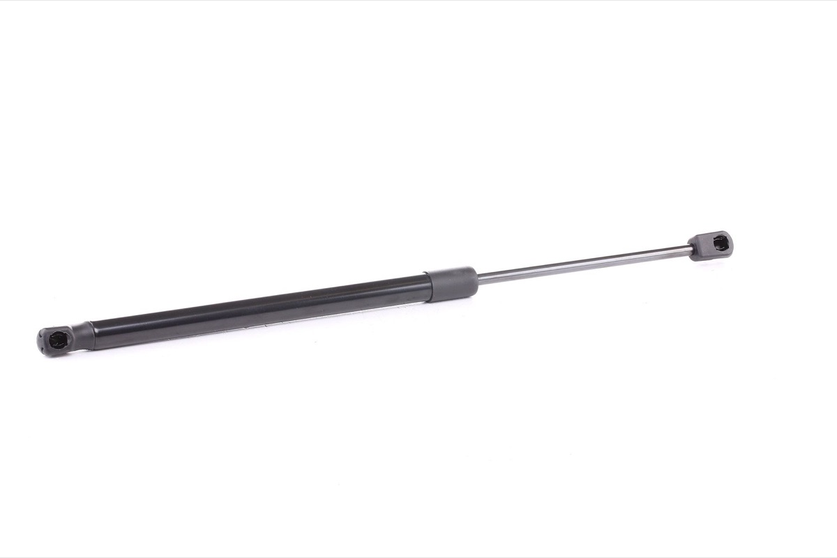 Ridex 219G0738 Tailgate Strut