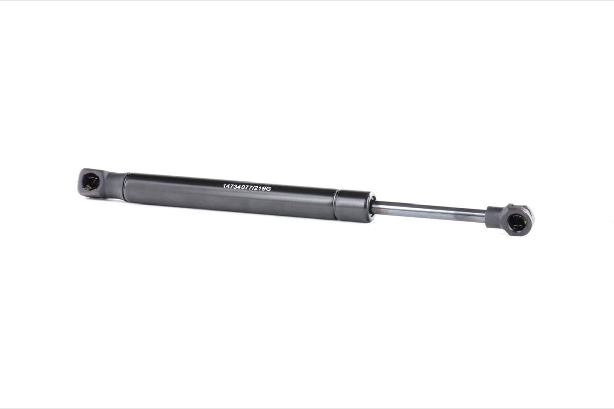 Ridex 219G0924 Tailgate Strut
