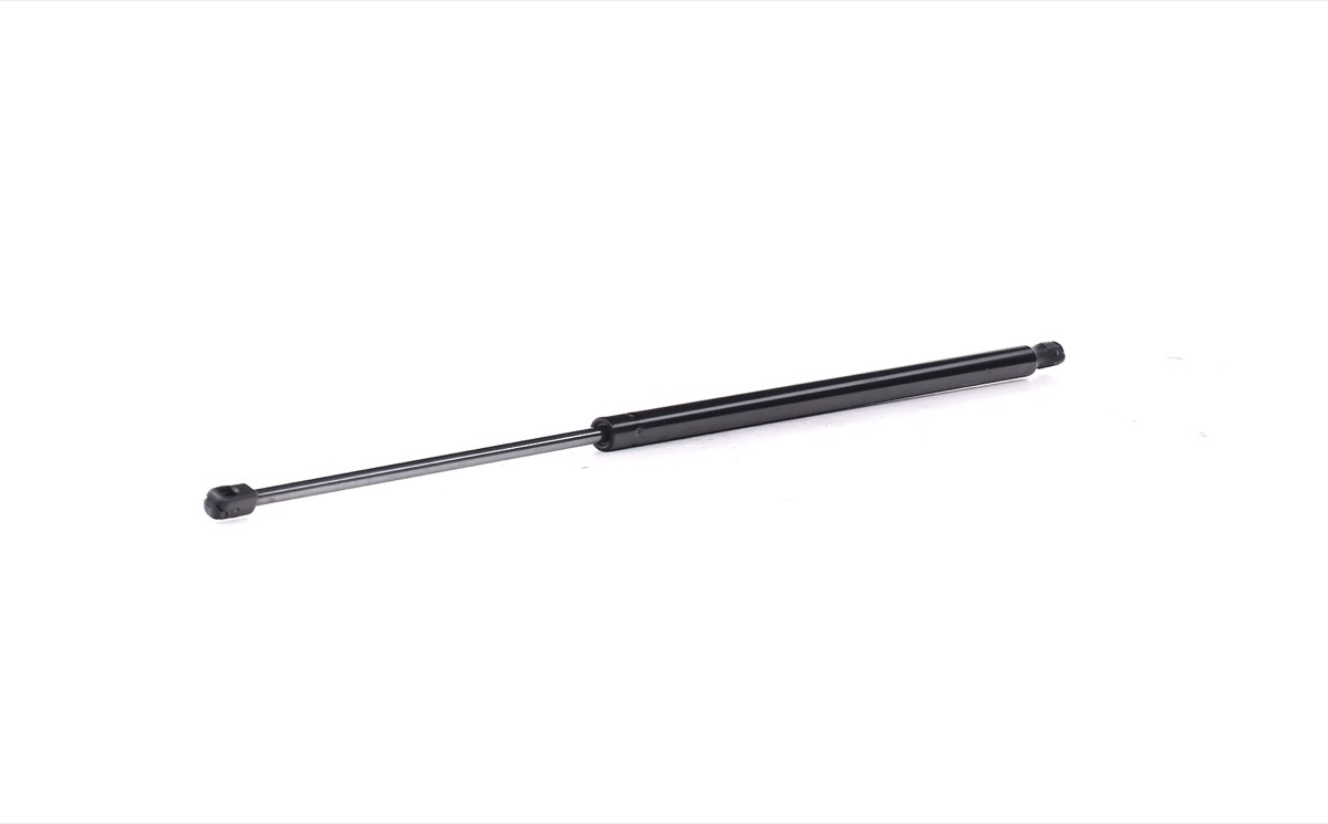 Ridex 219G1025 Tailgate Strut