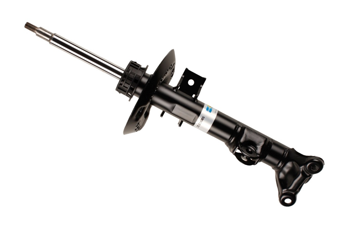 Bilstein 22-214065 Shock Absorber