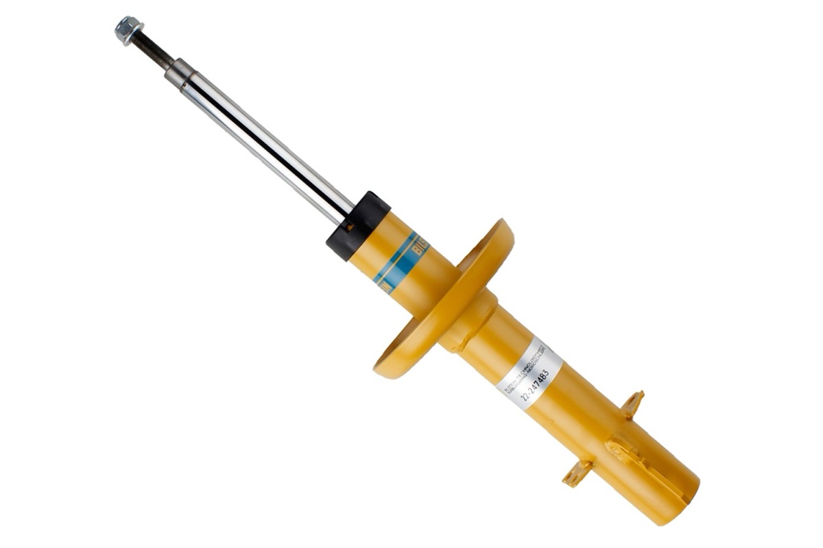 Bilstein 22-247483 Shock Absorber