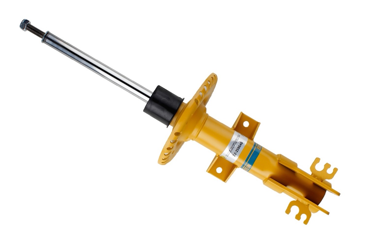 Bilstein 22-259646 Shock Absorber