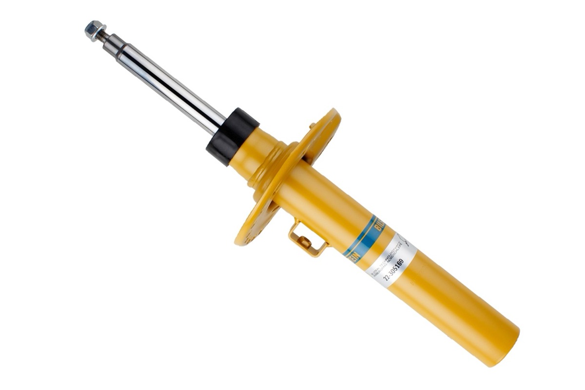 Bilstein 22-305169 Shock Absorber