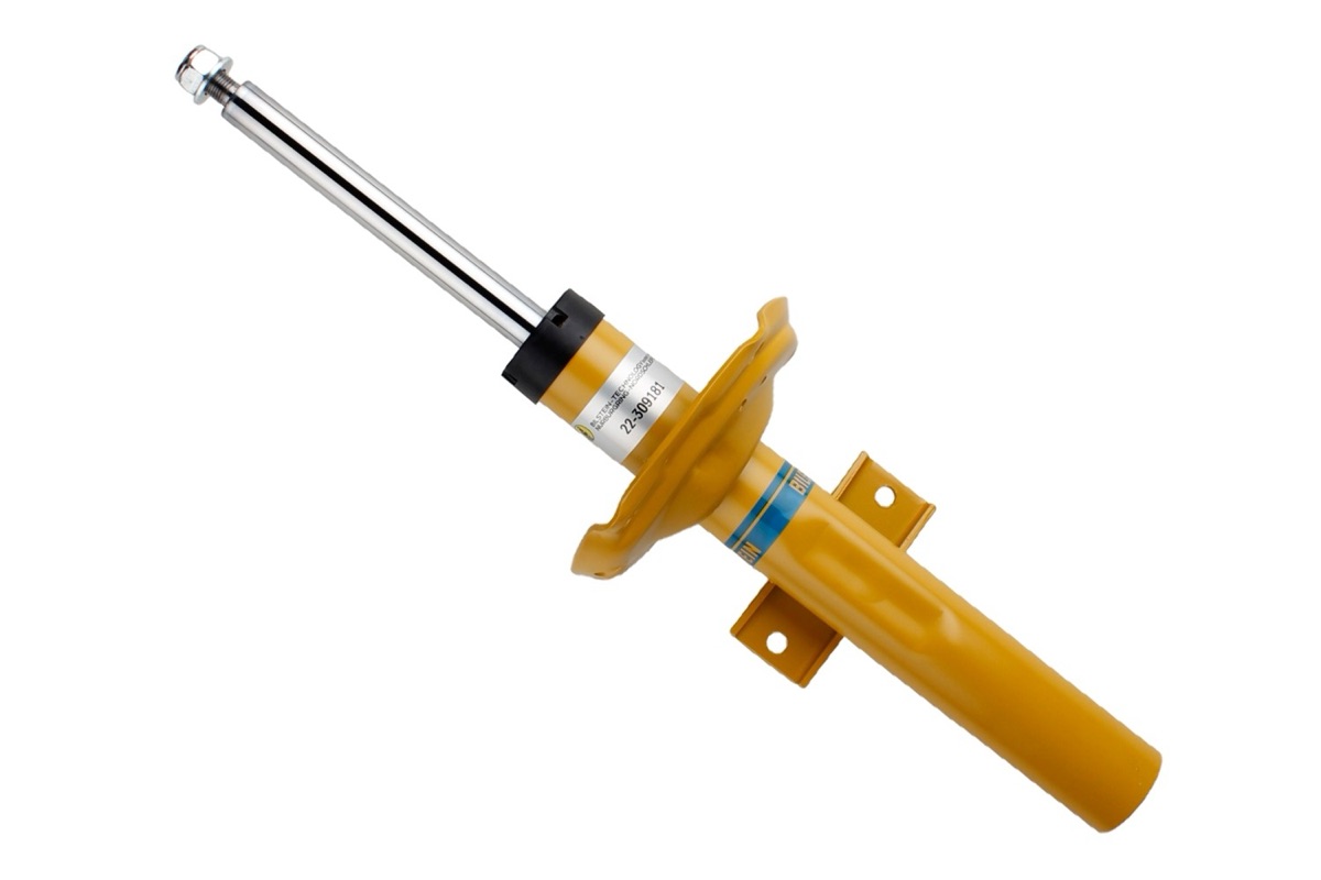 Bilstein 22-309181 Shock Absorber