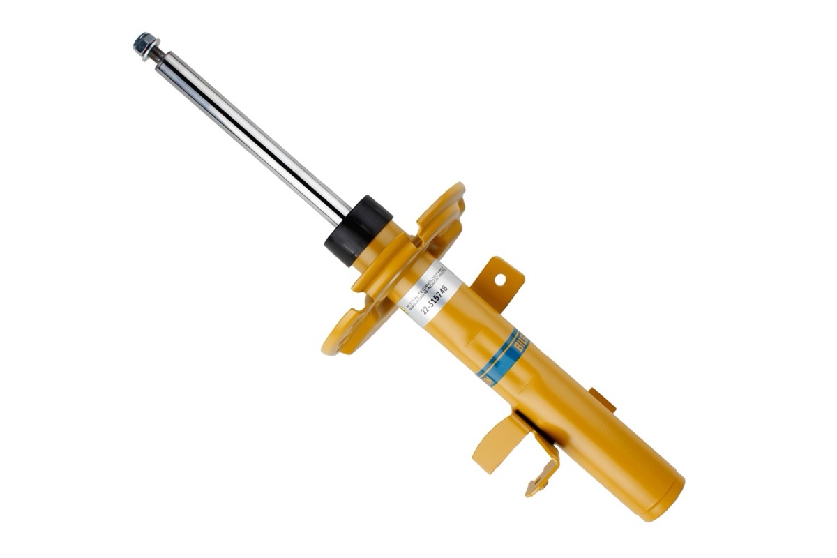Bilstein 22-315748 Shock Absorber