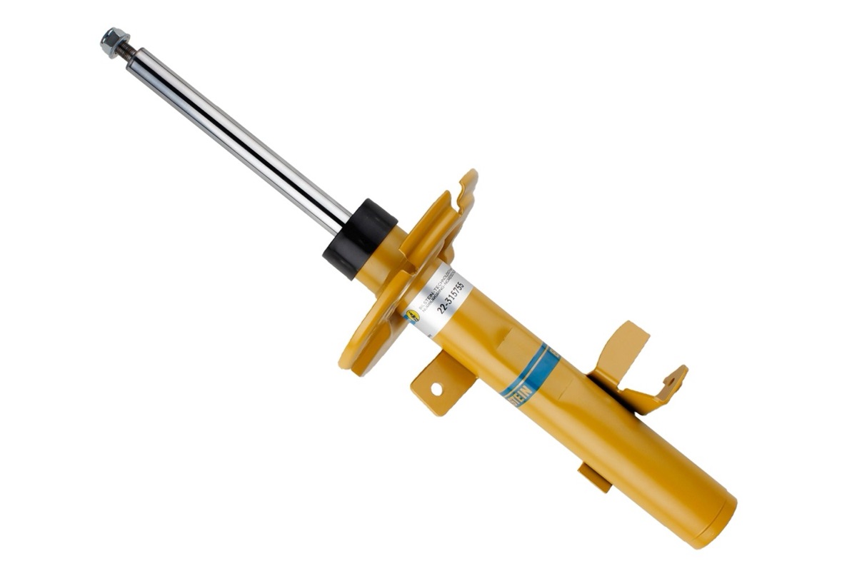 Bilstein 22-315755 Shock Absorber