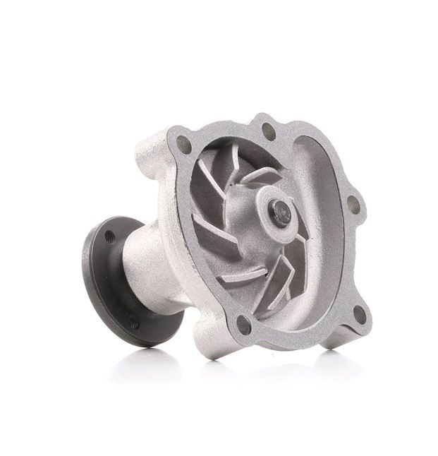 Febi Bilstein 24194 Water Pump