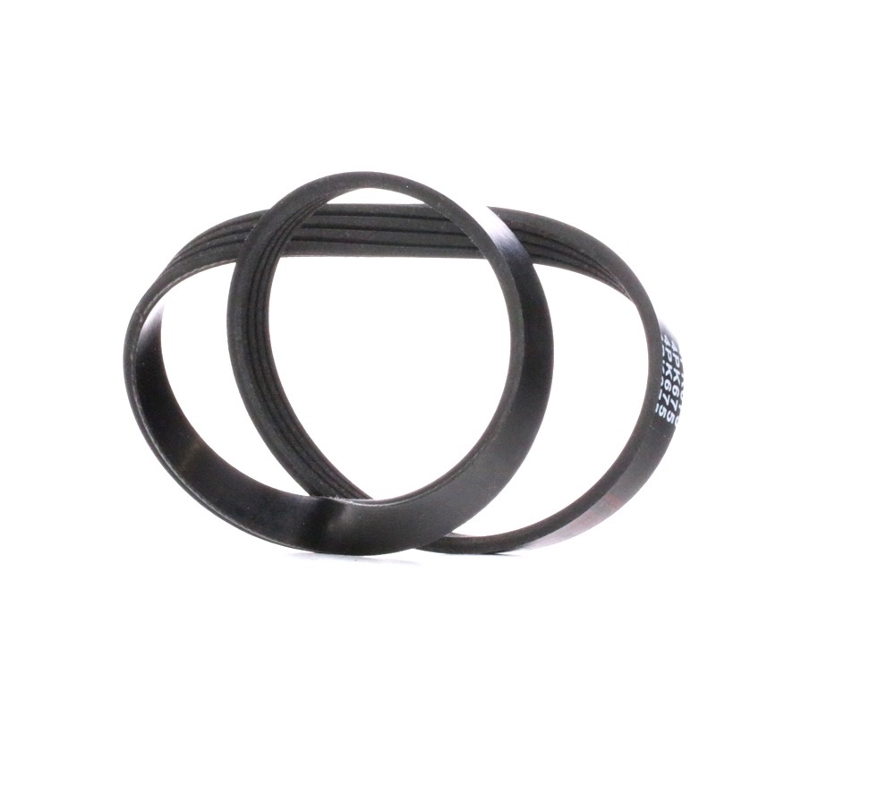 Febi Bilstein 28767 Serpentine Belt