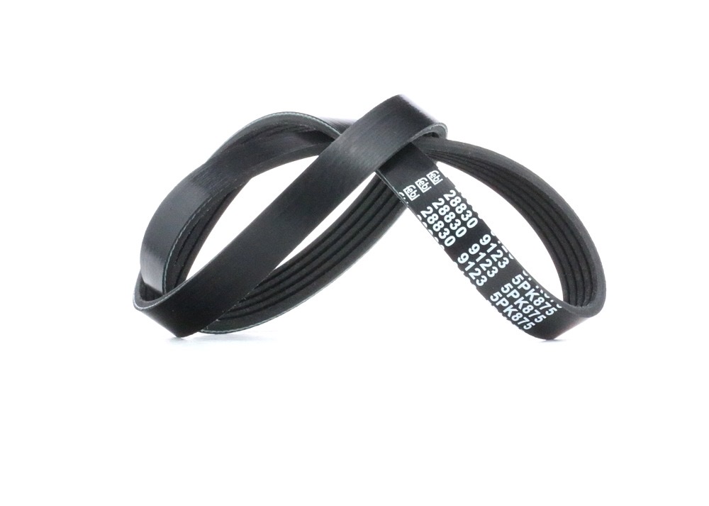 Febi Bilstein 28830 Serpentine Belt