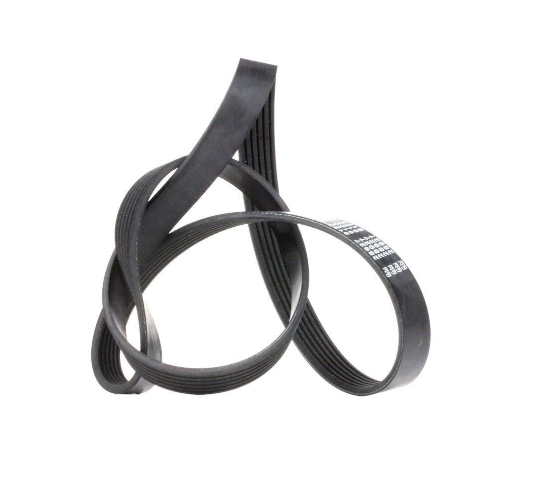 Febi Bilstein 28927 Serpentine Belt