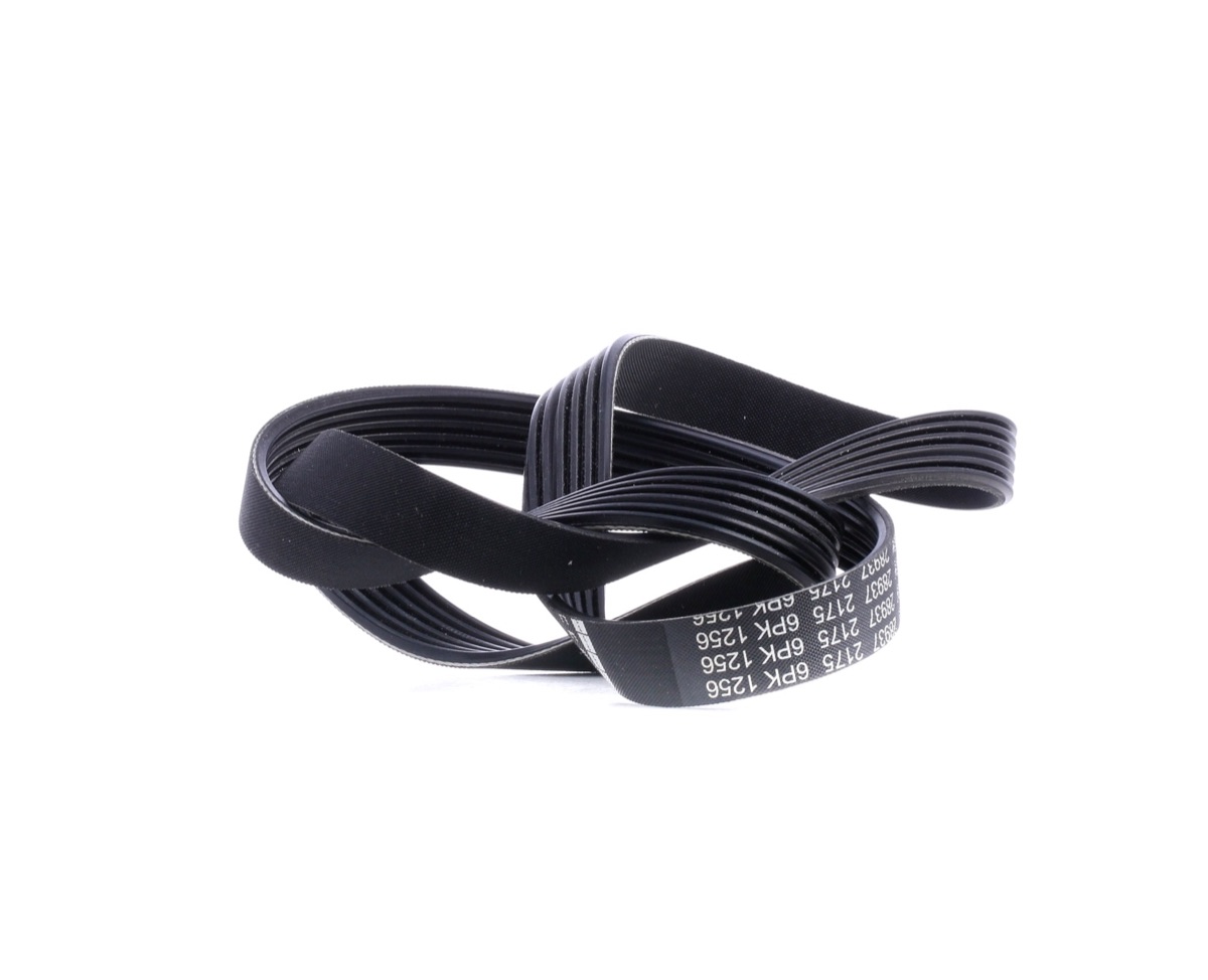 Febi Bilstein 28937 Serpentine Belt