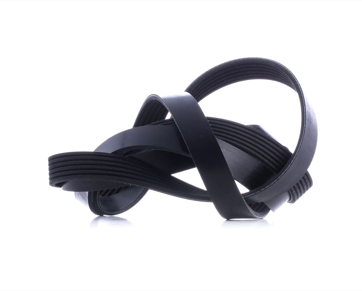 Febi Bilstein 29019 Serpentine Belt