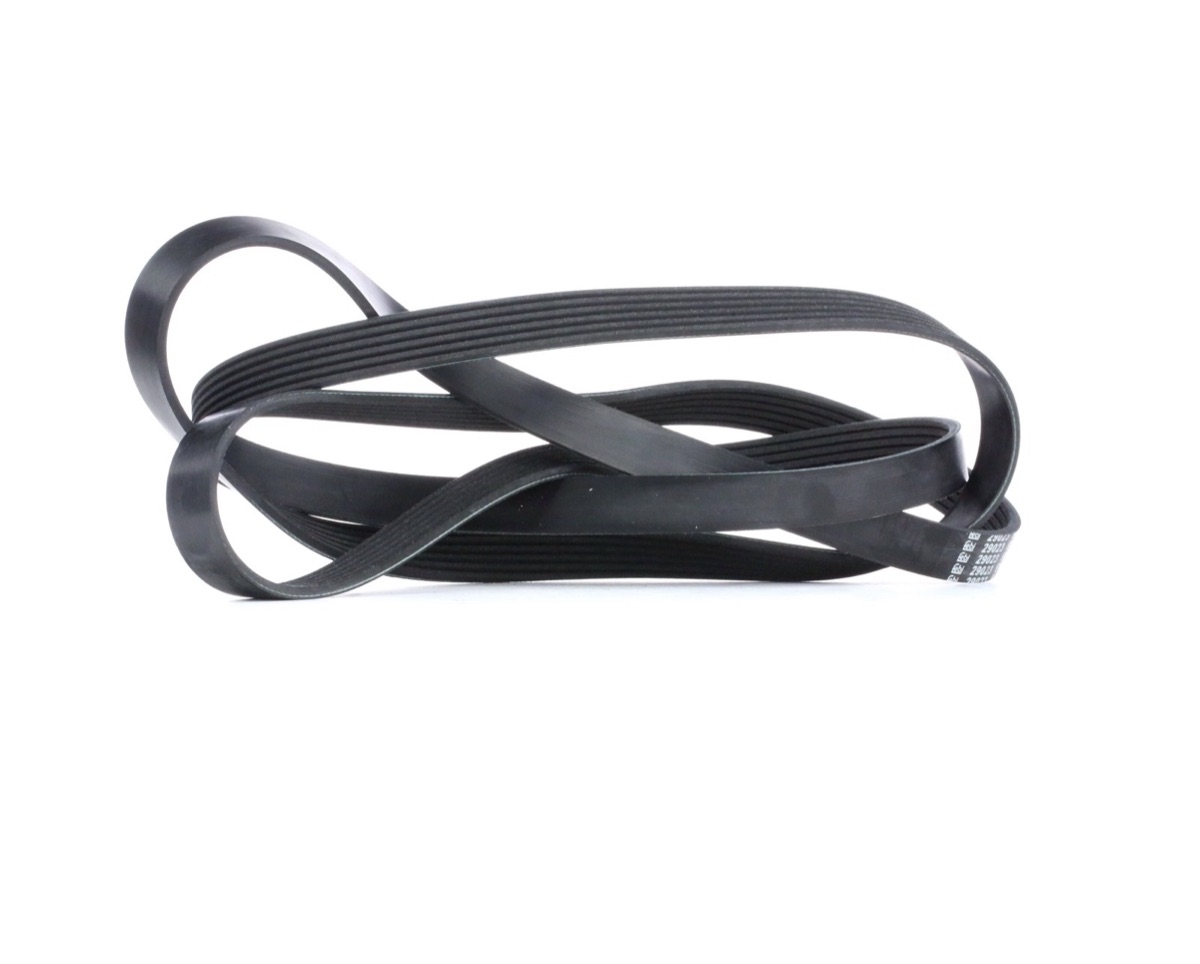 Febi Bilstein 29023 Serpentine Belt