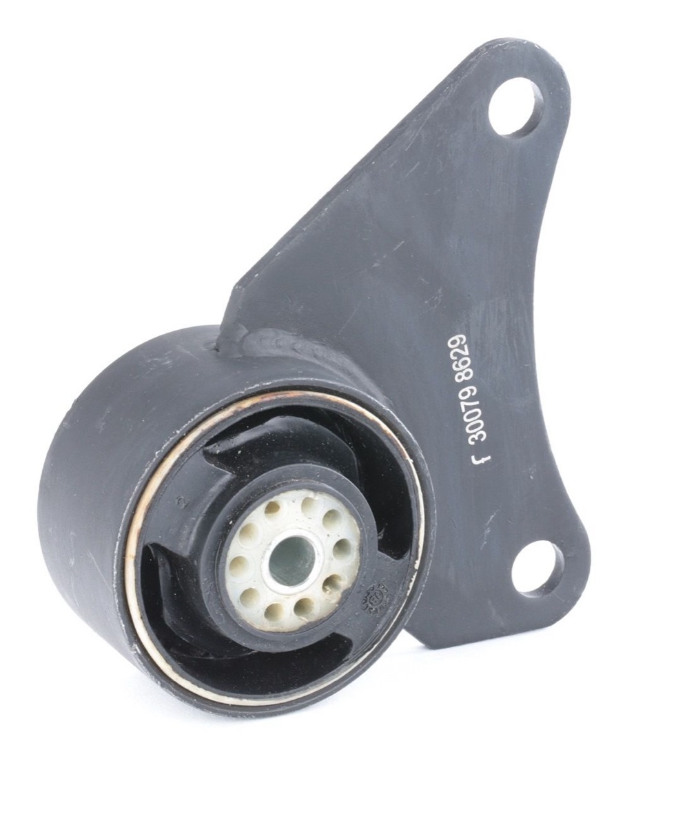 Febi Bilstein 30079 Engine Mount