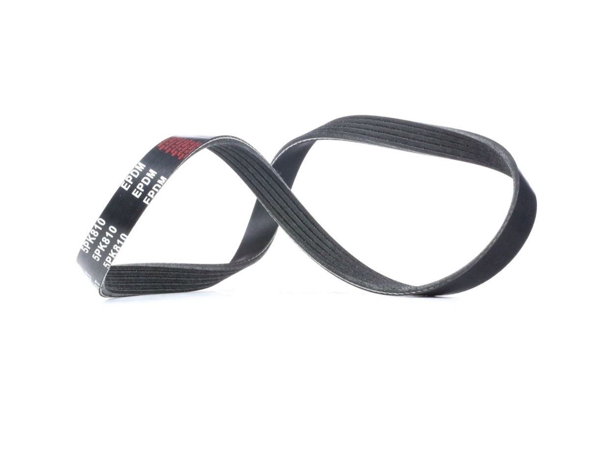 Ridex 305P0024 Serpentine Belt