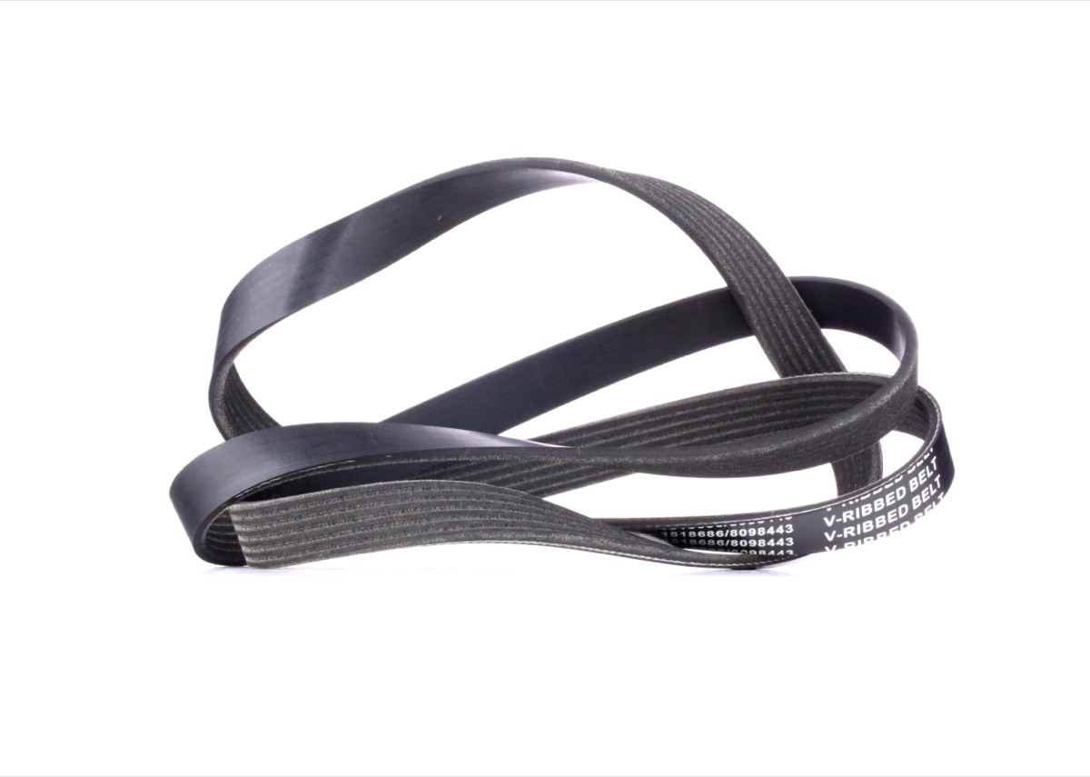 Ridex 305P0086 Serpentine Belt
