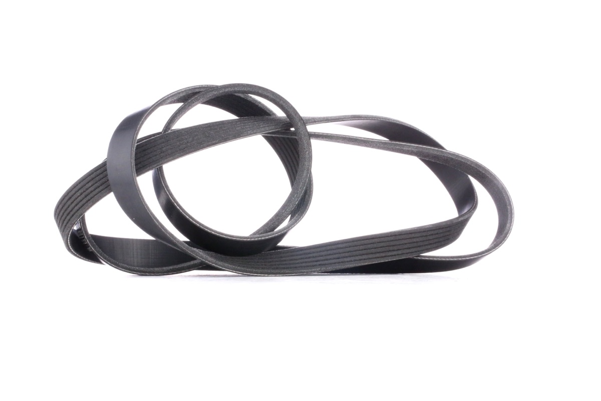 Ridex 305P0102 Serpentine Belt