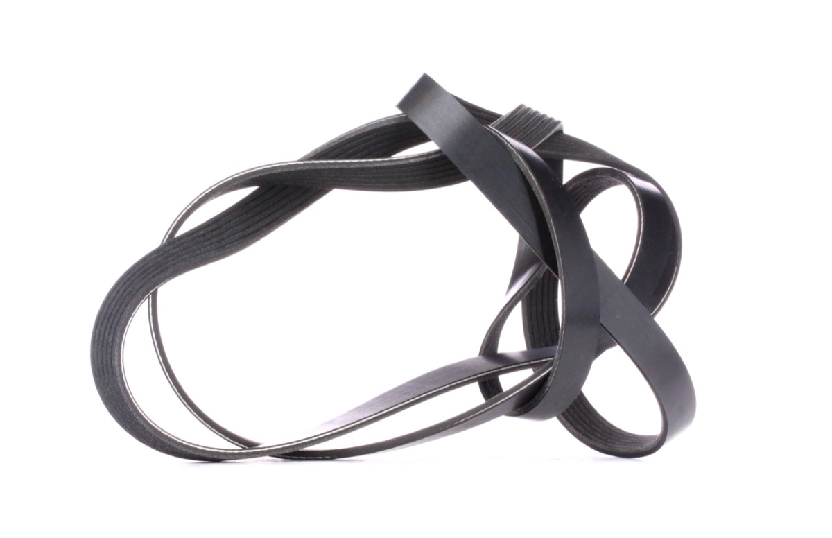 Ridex 305P0105 Serpentine Belt