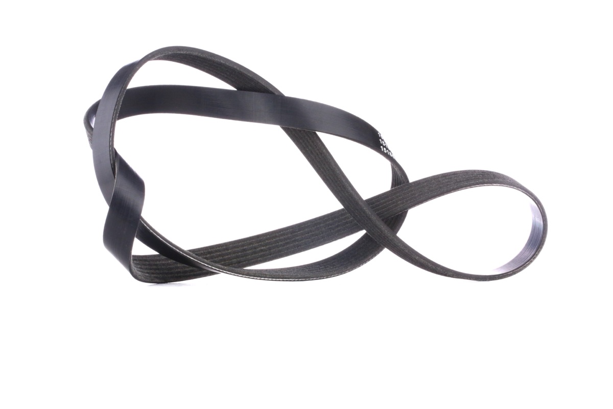 Ridex 305P0123 Serpentine Belt