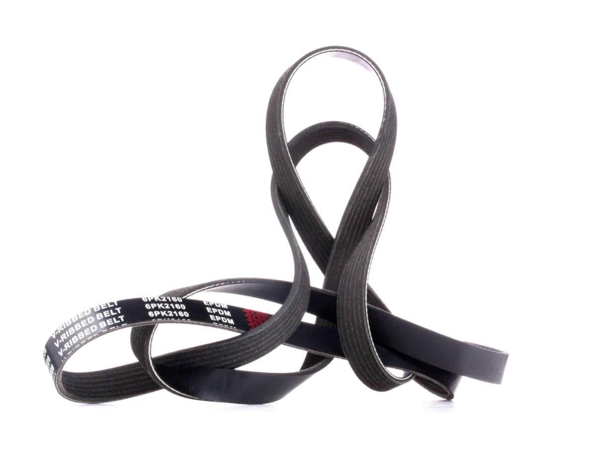 Ridex 305P0162 Serpentine Belt