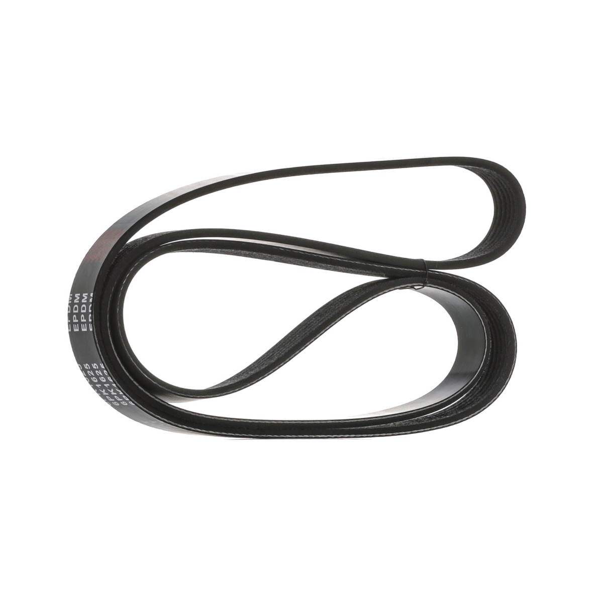 Ridex 305P0169 Serpentine Belt