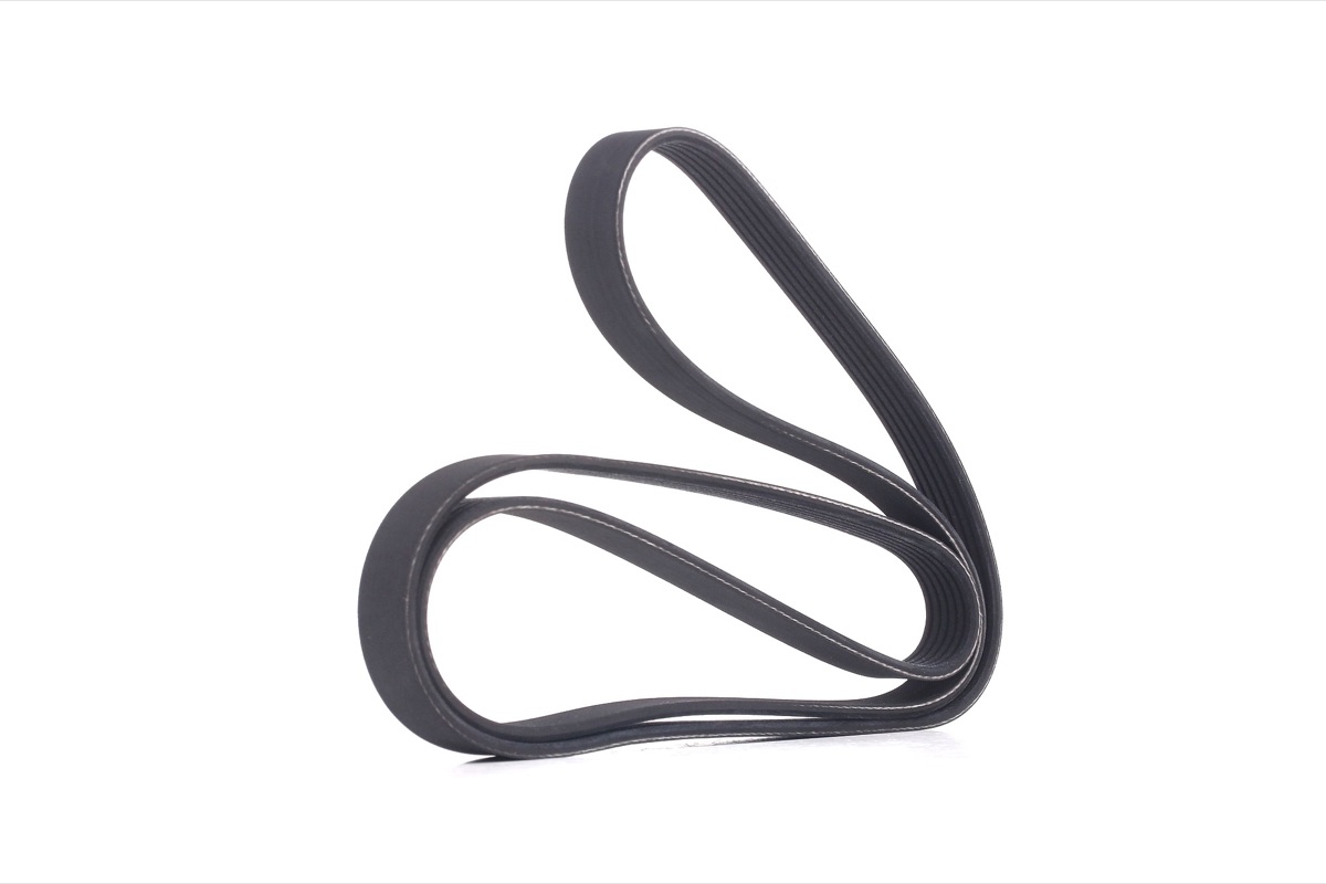 Ridex 305P0181 Serpentine Belt