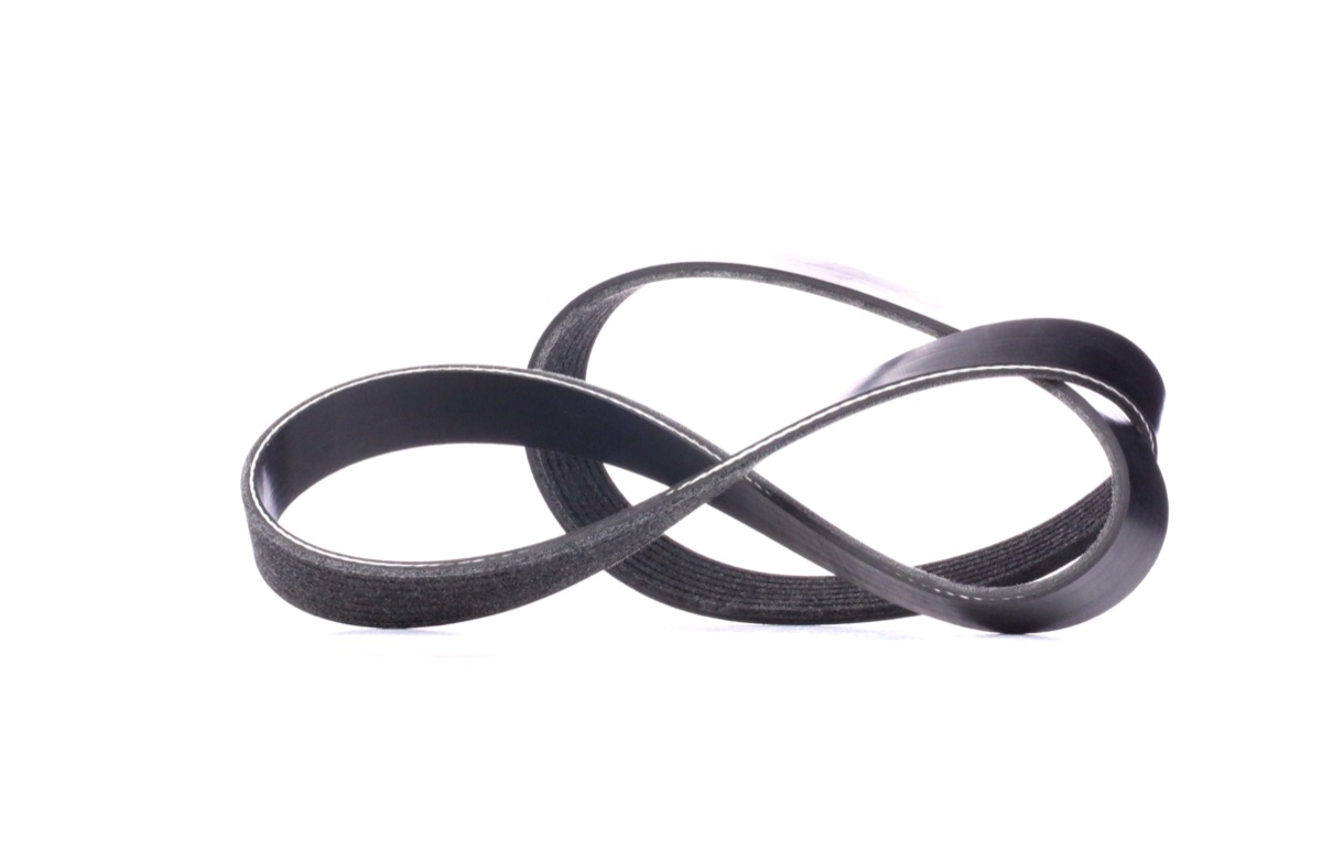 Ridex 305P0419 Serpentine Belt